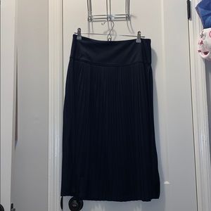 Navy Blue High Wasted Skirt